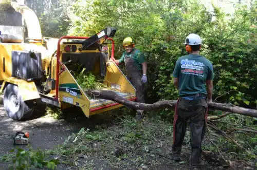 tree services El Segundo